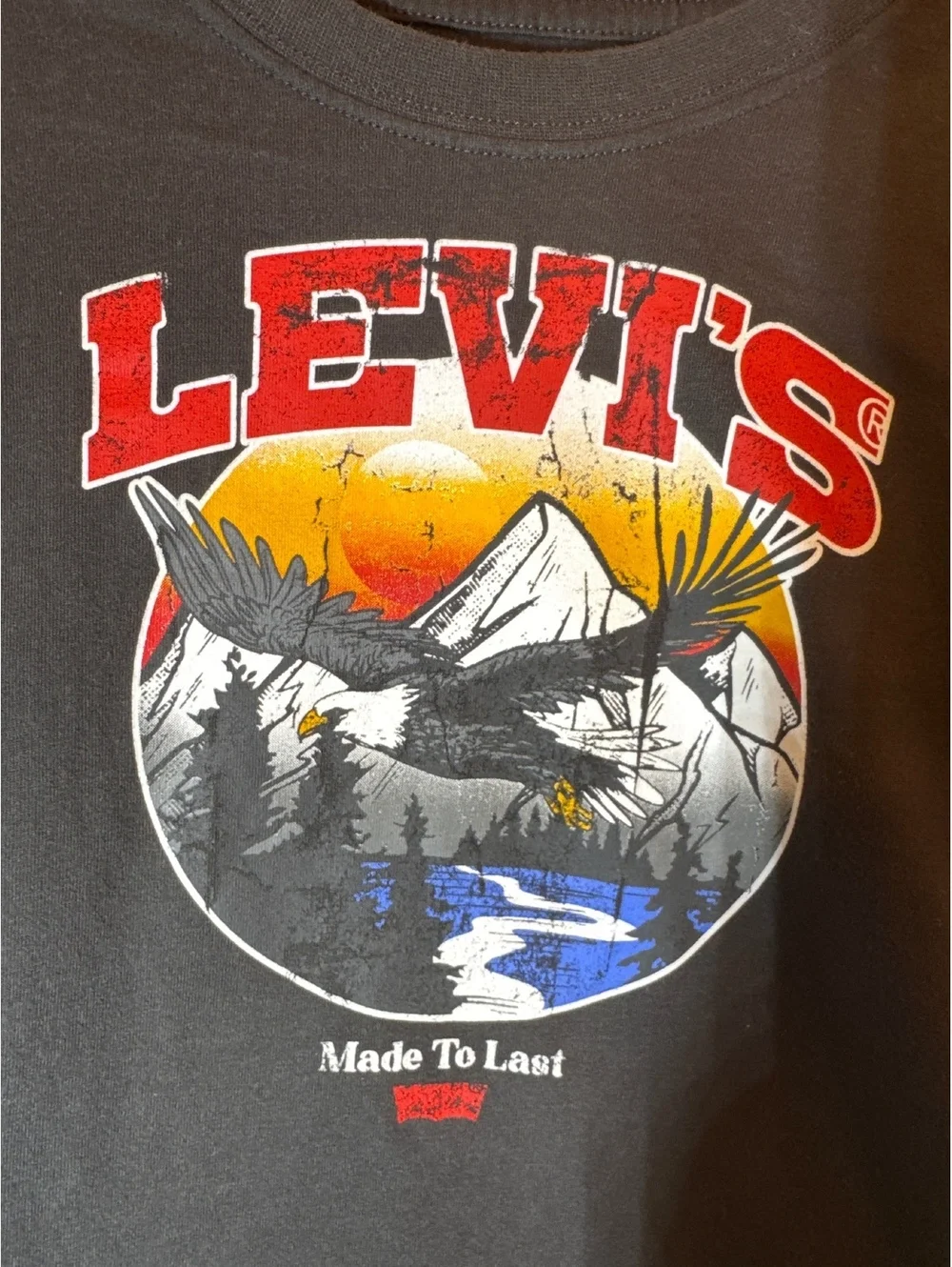 Levi’s Eagle Graphic T-Shirt Gray XS (4 Years)